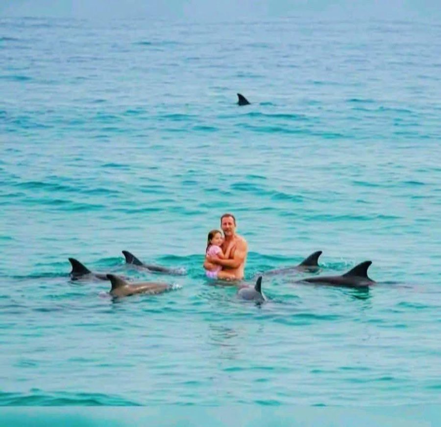 Father and daughter surrounded by dolphins