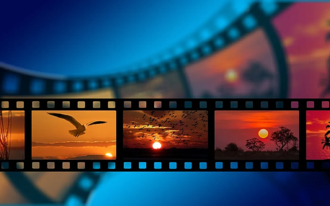 Hollywood_2