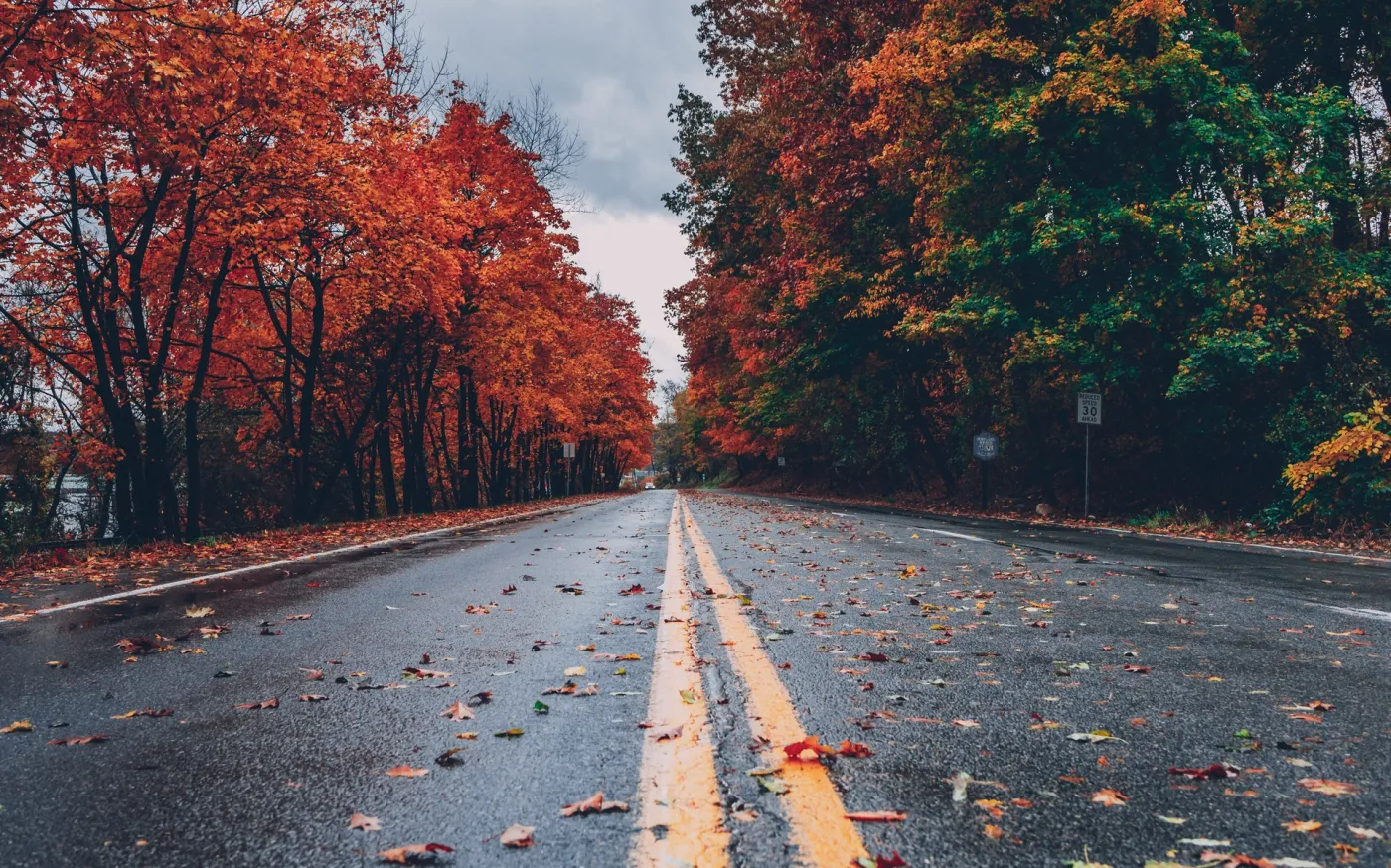 colorful-wallpaper-colors-of-autumn-computer-wallpaper-1563356