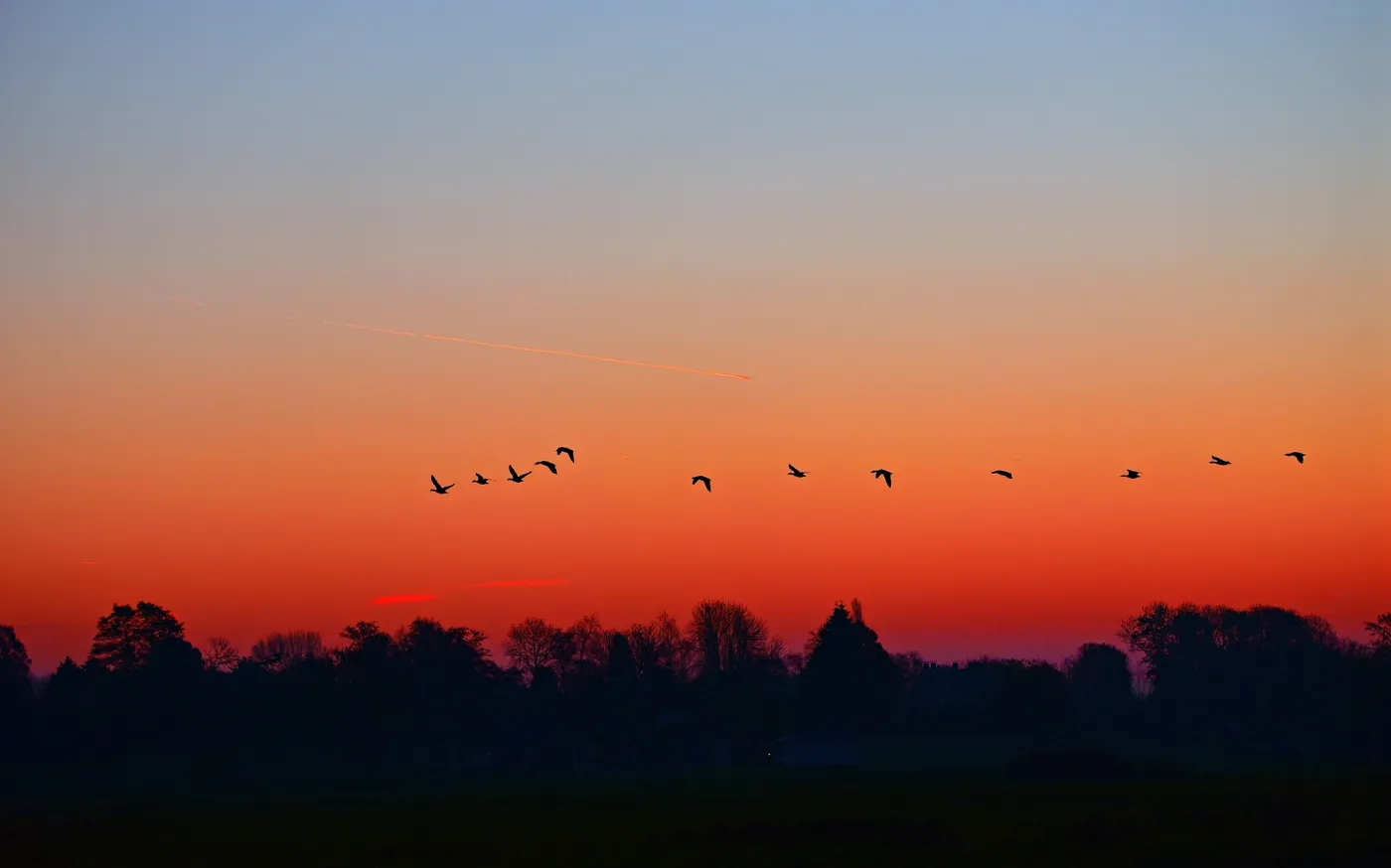 dawn-3846778_1920