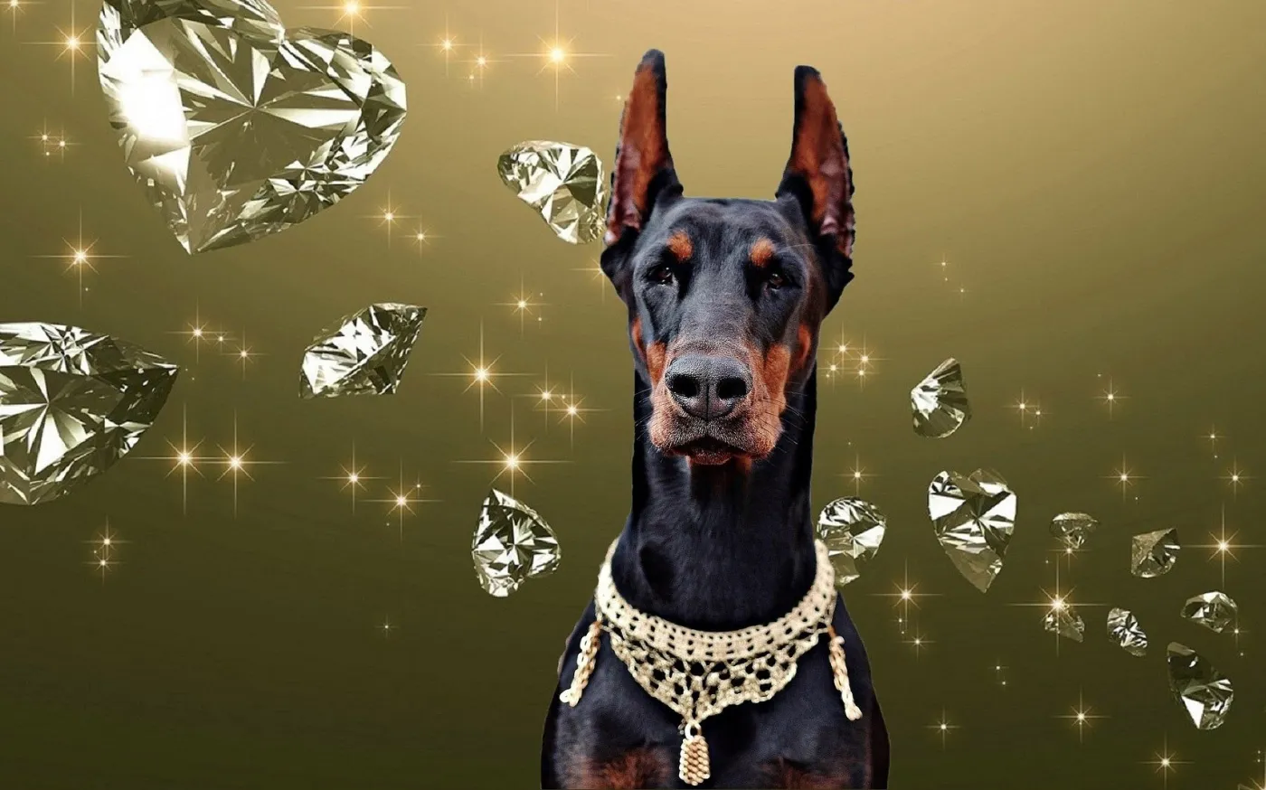 doberman-1169975_1920
