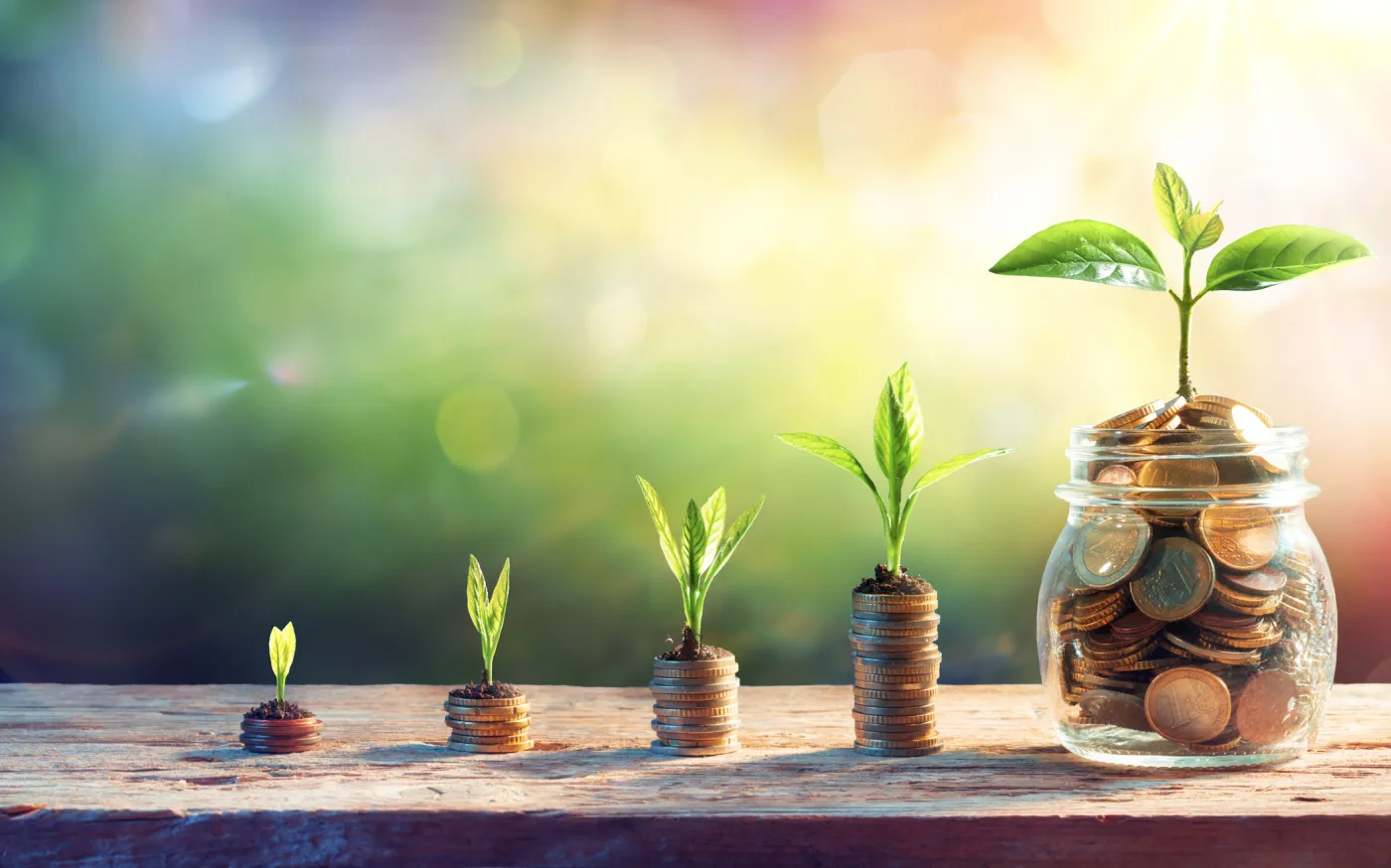 iStock-1299487743