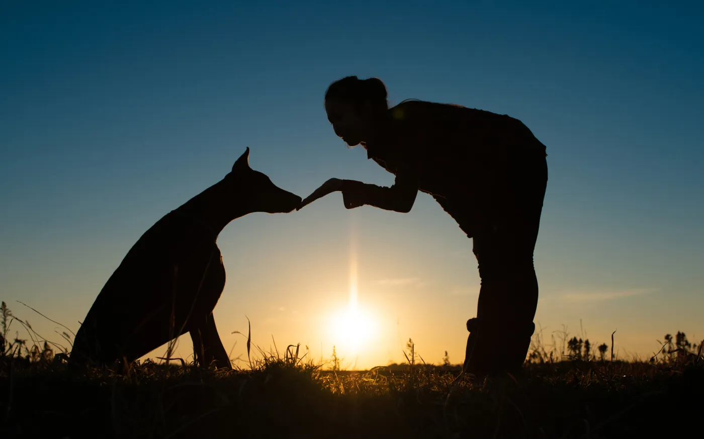 iStock-1345117765