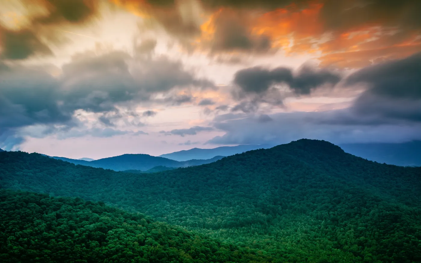 jorge-illich-gejo-25882_0