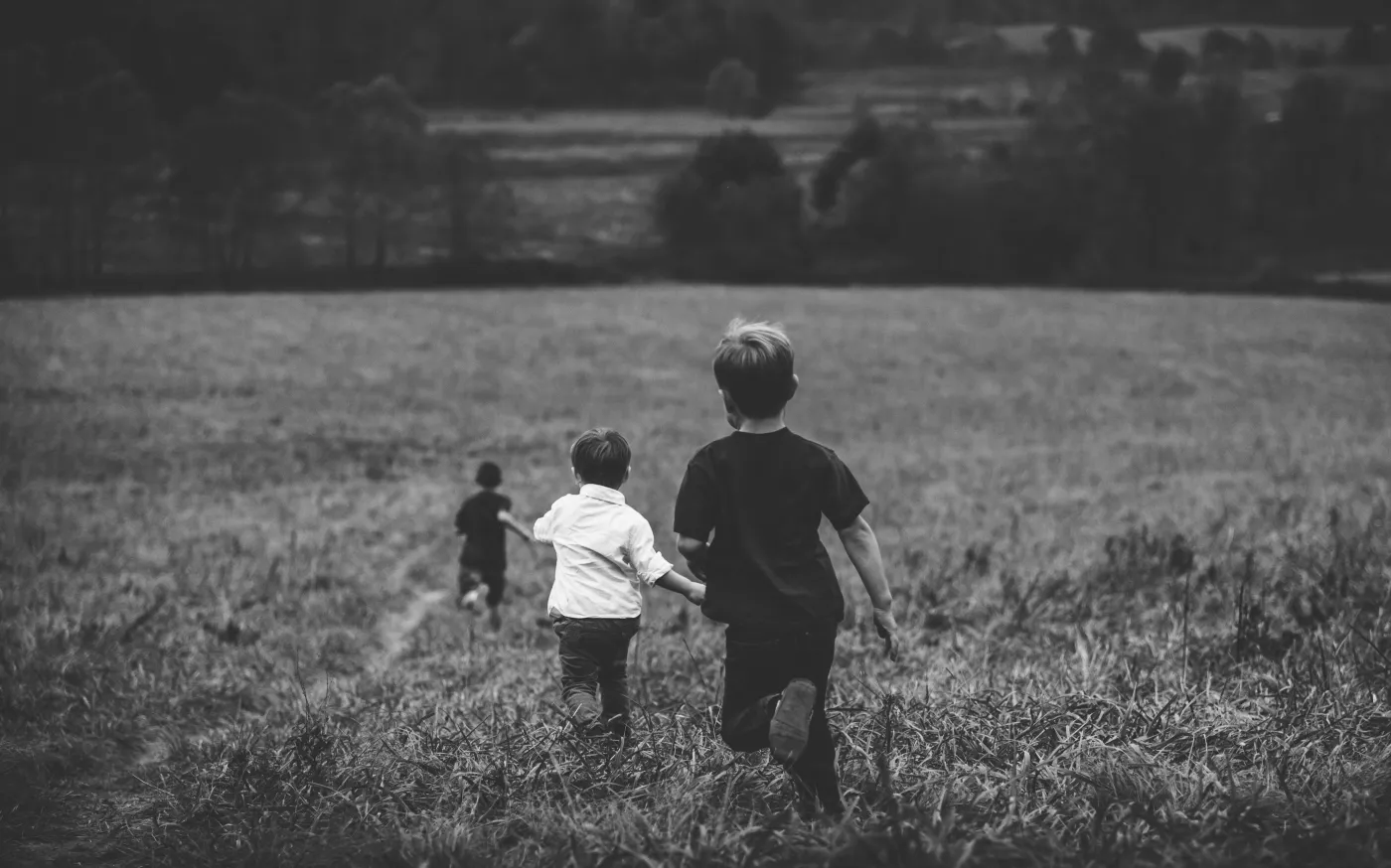 pexels-photo-23966