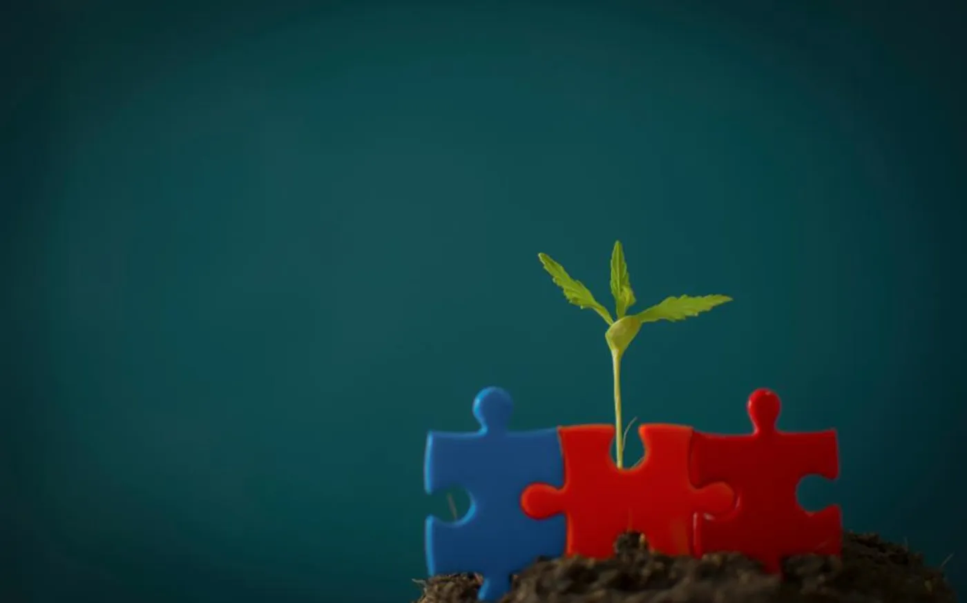 plantpuzzlepic7